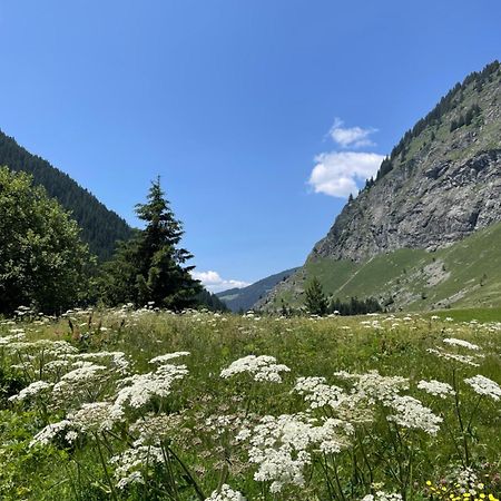 T2 Vue Sur Le Parc De La Vanoise ラ・プラーニュ エクステリア 写真