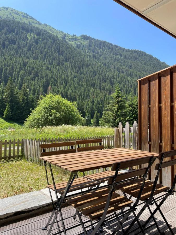 T2 Vue Sur Le Parc De La Vanoise ラ・プラーニュ エクステリア 写真