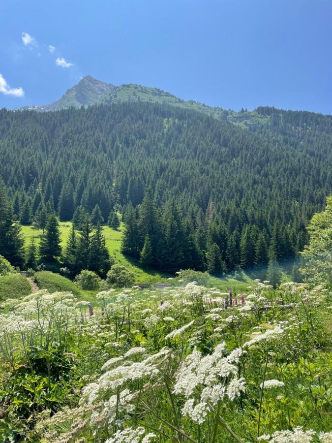T2 Vue Sur Le Parc De La Vanoise ラ・プラーニュ エクステリア 写真