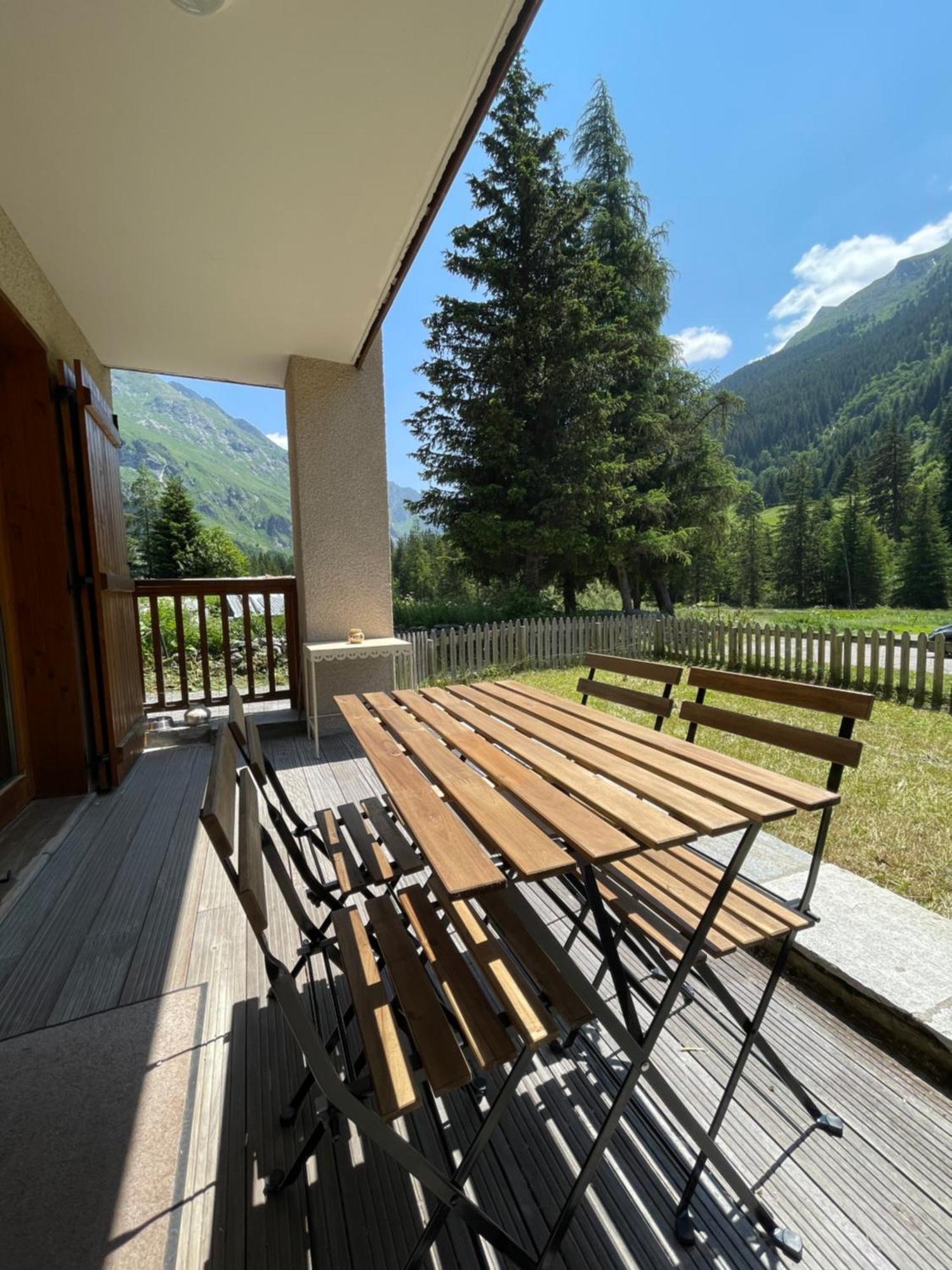 T2 Vue Sur Le Parc De La Vanoise ラ・プラーニュ エクステリア 写真