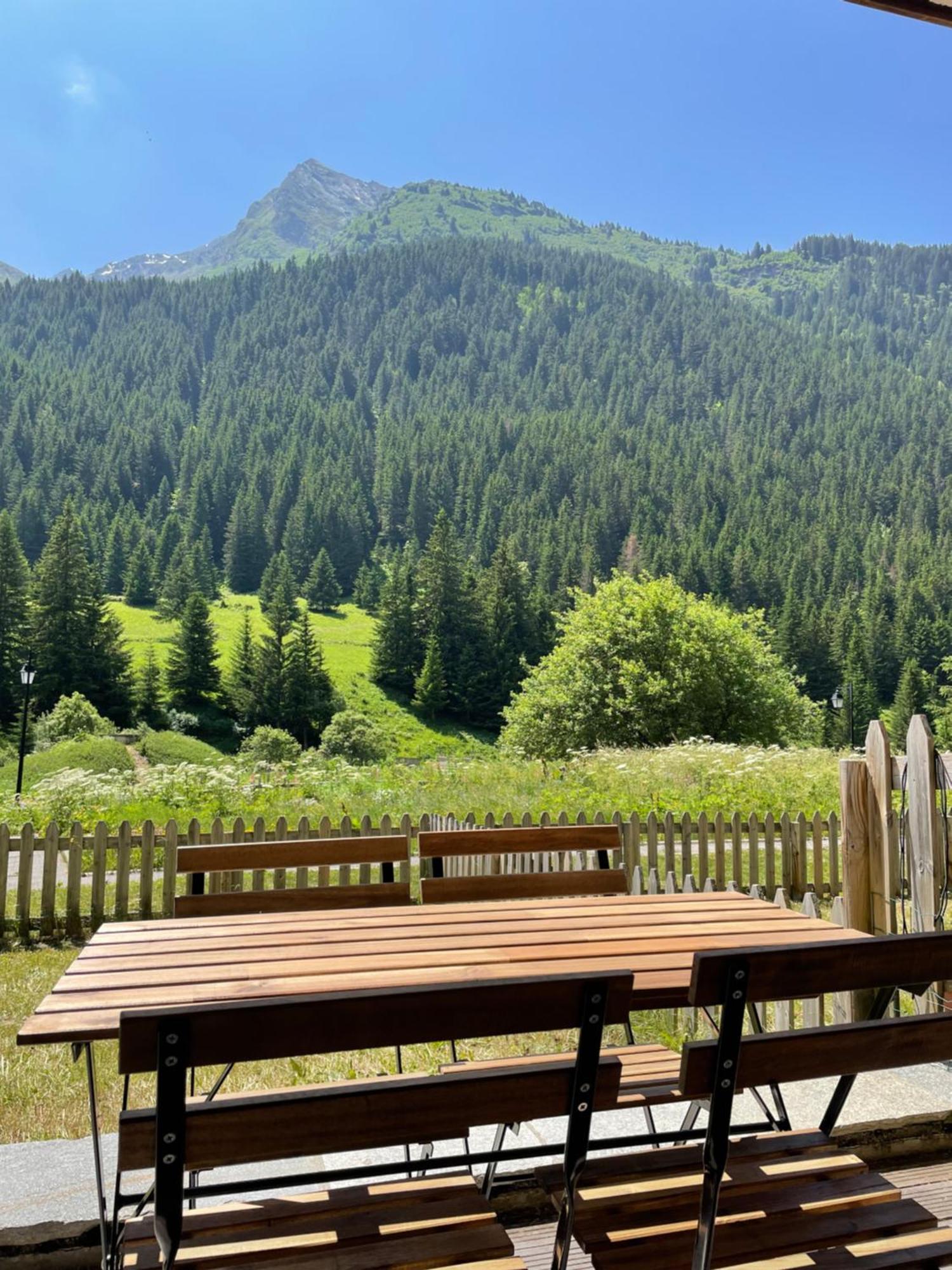 T2 Vue Sur Le Parc De La Vanoise ラ・プラーニュ エクステリア 写真